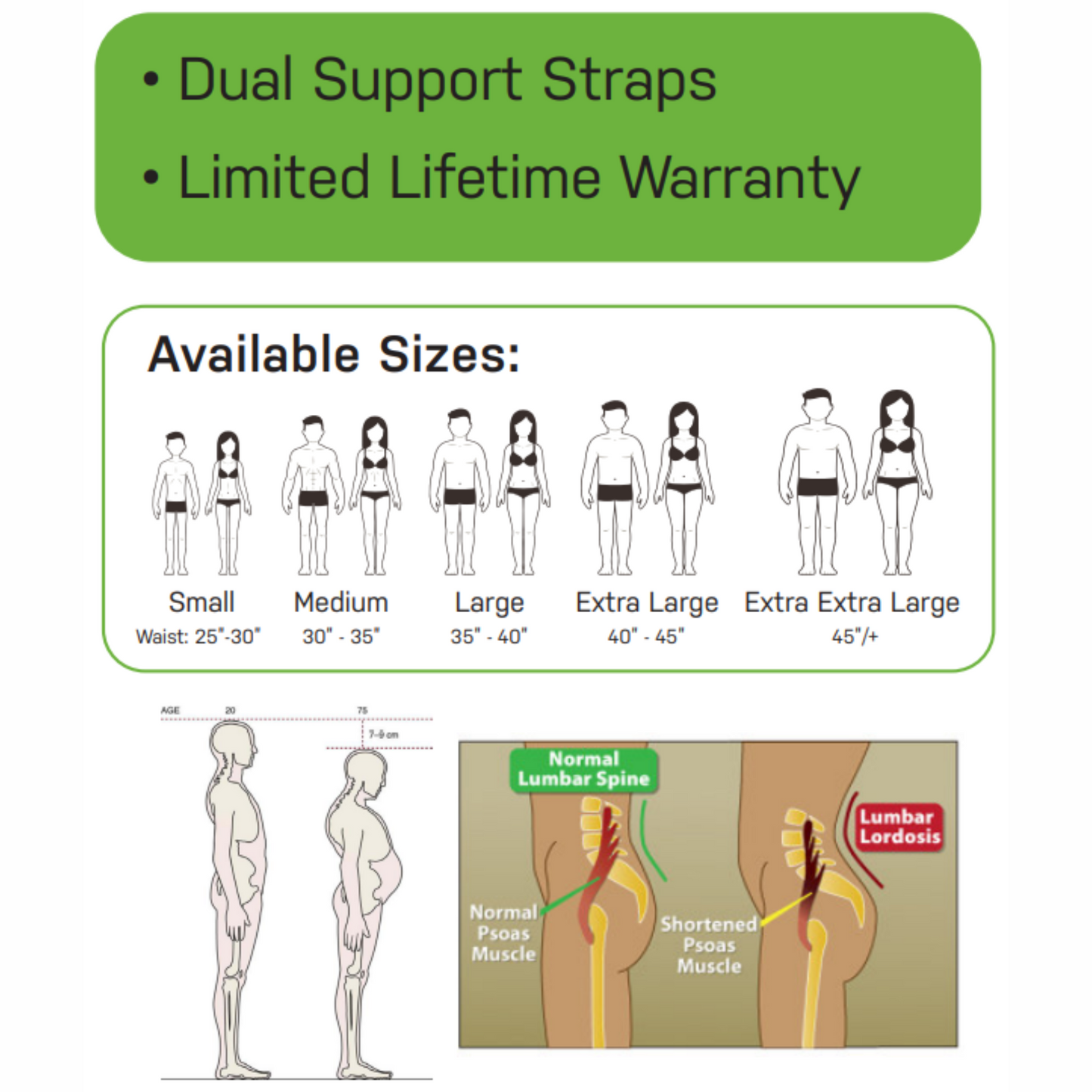 PCore Dynamic Back Brace - TS